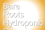 Bare Roots Hydroponic Organic