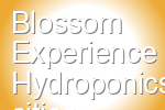 Blossom Experience Hydroponics