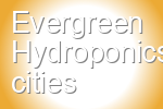 Evergreen Hydroponics
