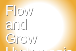 Flow and Grow Hydroponic Garden
