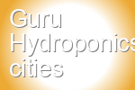 Guru Hydroponics