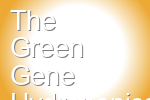 The Green Gene Hydroponics