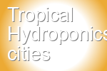 Tropical Hydroponics