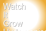 Watch It Grow Hydroponics Omer